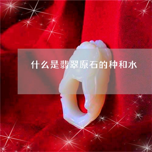 什么是翡翠原石的种和水/2023102638337