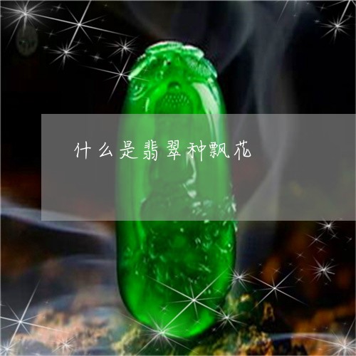 什么是翡翠种飘花/2023090842117