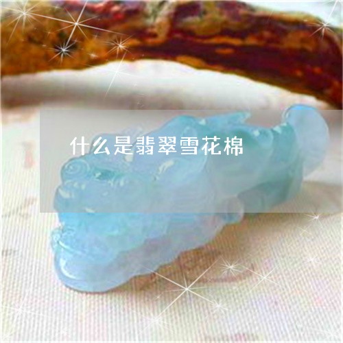 什么是翡翠雪花棉/2023090820727