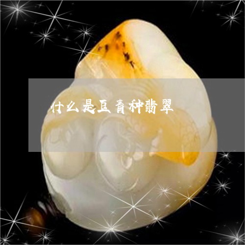 什么是豆青种翡翠/2023090847772