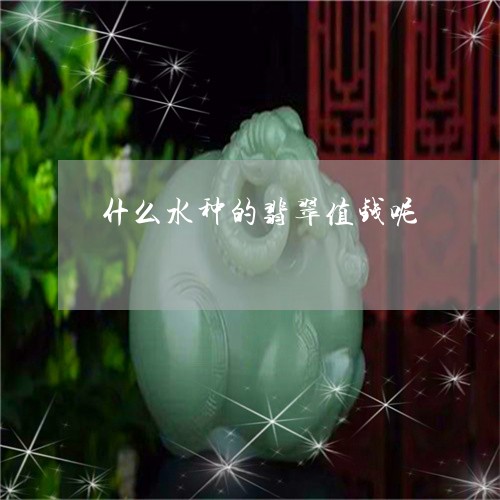 什么水种的翡翠值钱呢/2023082519051