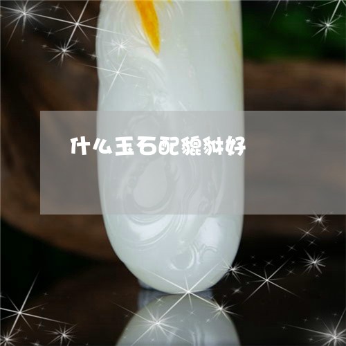 什么玉石配貔貅好/2023090880888