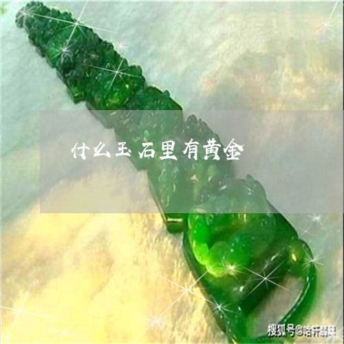 什么玉石里有黄金/2023090812632