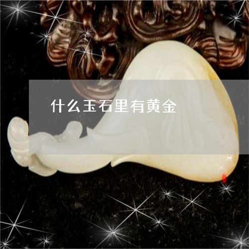 什么玉石里有黄金/2023090861265