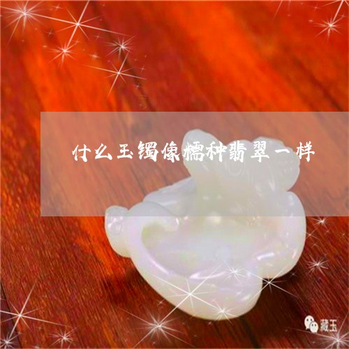 什么玉镯像糯种翡翠一样/2023092758084