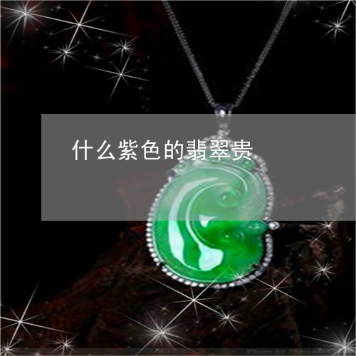 什么紫色的翡翠贵/2023103116305