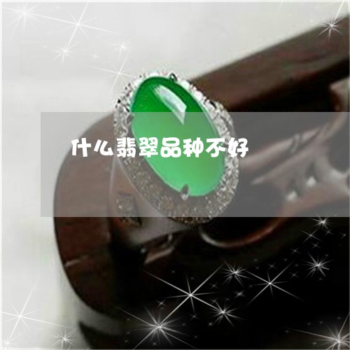 什么翡翠品种不好/2023101841165