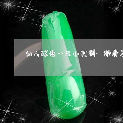 仙人球像一只小刺猬.那翡翠似的圆球/2023080330971