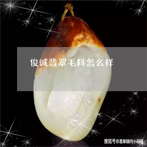 俊诚翡翠毛料怎么样/2023110160264