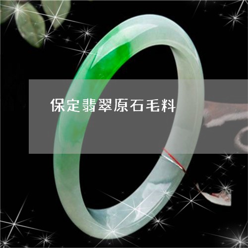 保定翡翠原石毛料/2023090744233