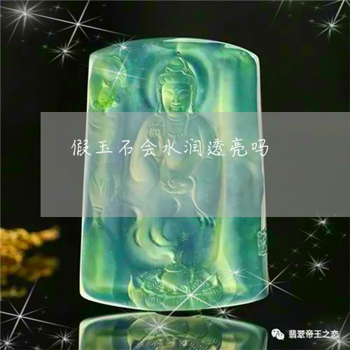 假玉石会水润透亮吗/2023103130913