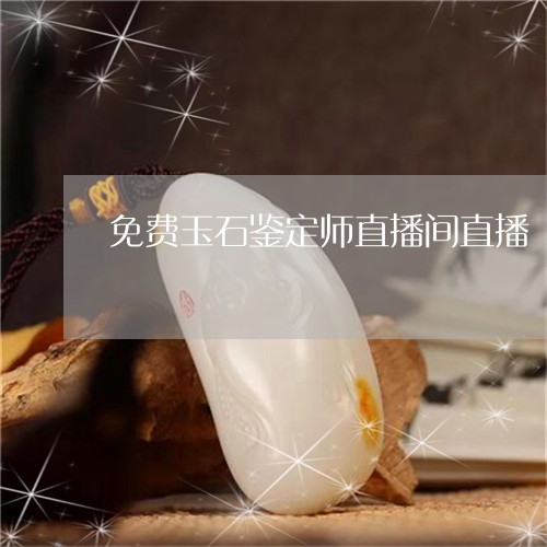 免费玉石鉴定师直播间直播/2023101672833