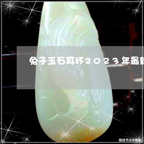 兔子玉石耳环2023年最新款/2023110662261