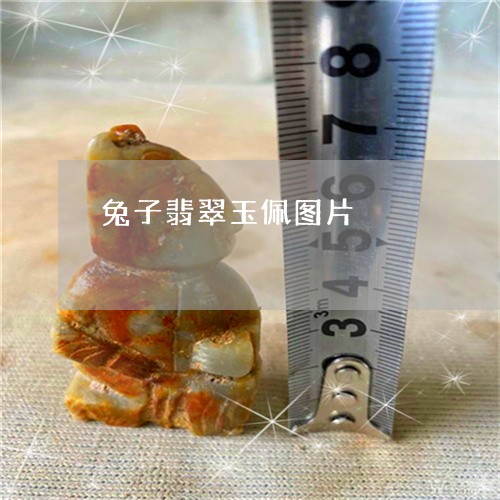 兔子翡翠玉佩图片/2023090818418