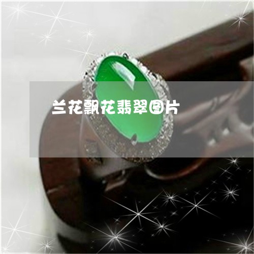 兰花飘花翡翠图片/2023090852555