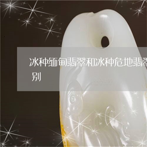 冰种缅甸翡翠和冰种危地翡翠有什么价格区别/2023080430066