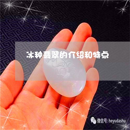 冰种翡翠的介绍和特点/2023082501849