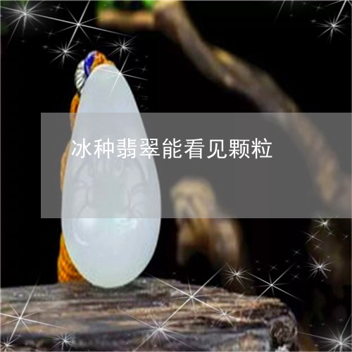 冰种翡翠能看见颗粒/2023110707099