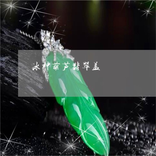 冰种葫芦翡翠盖/2023080531919