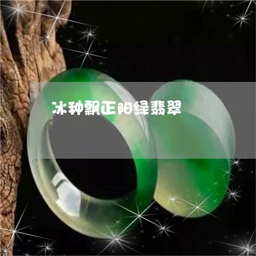 冰种飘正阳绿翡翠/2023090830372