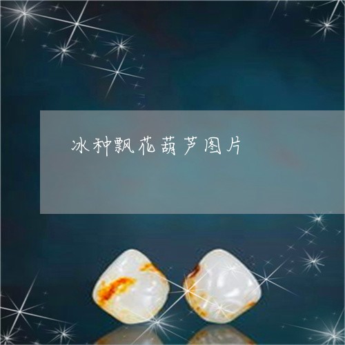 冰种飘花葫芦图片/2023090750980