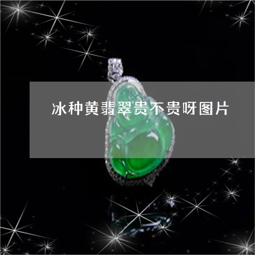 冰种黄翡翠贵不贵呀图片/2023100630318