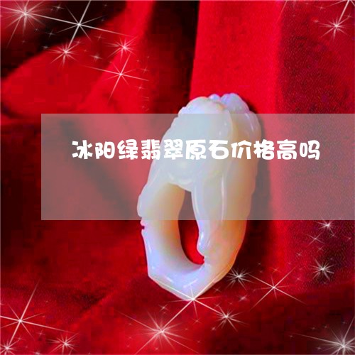 冰阳绿翡翠原石价格高吗/2023102603389