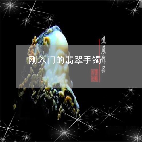 刚入门的翡翠手镯/2023090783924