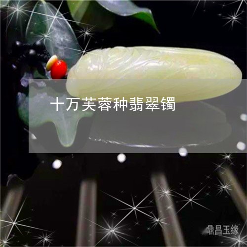 十万芙蓉种翡翠镯/2023090602621