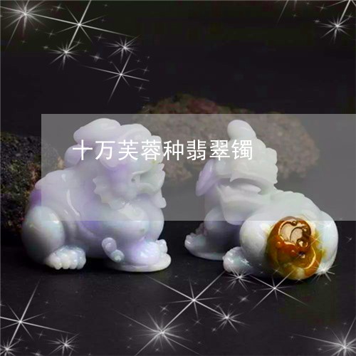 十万芙蓉种翡翠镯/2023090605452