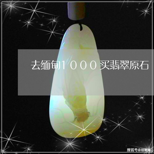 去缅甸1000买翡翠原石/2023110652730