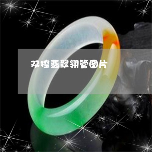 双控翡翠翎管图片/2023090582951