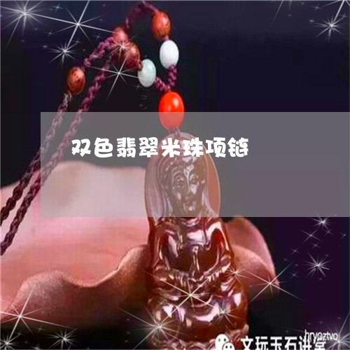 双色翡翠米珠项链/2023090675840