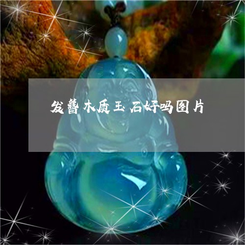 发簪木质玉石好吗图片/2023082547960