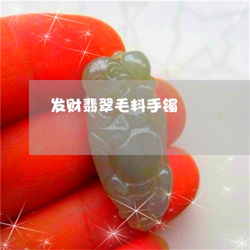 发财翡翠毛料手镯/2023090640132