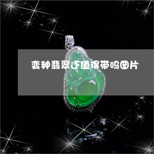 变种翡翠还值得带吗图片/2023100507031