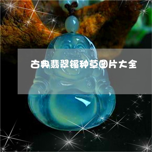 古典翡翠镯种草图片大全/2023102523819