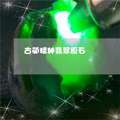 古蔺糯种翡翠原石/2023090667895