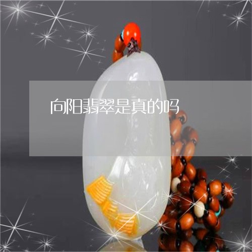 向阳翡翠是真的吗/2023103165263