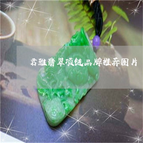 君雅翡翠项链品牌推荐图片/2023092900337