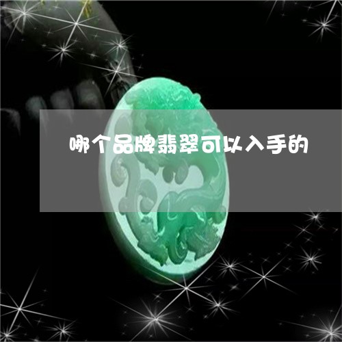 哪个品牌翡翠可以入手的/2023102508628