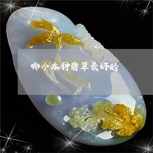 哪个水种翡翠最好的/2023110239419