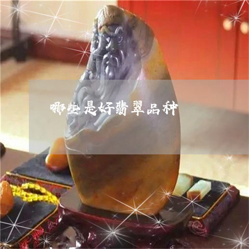 哪些是好翡翠品种/2023101891147