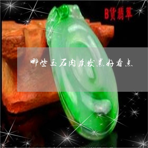 哪些玉石肉质发黑好看点/2023100685202