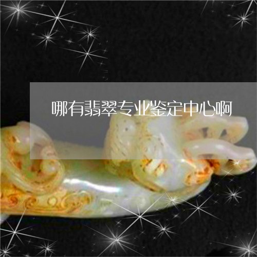 哪有翡翠专业鉴定中心啊/2023100846906