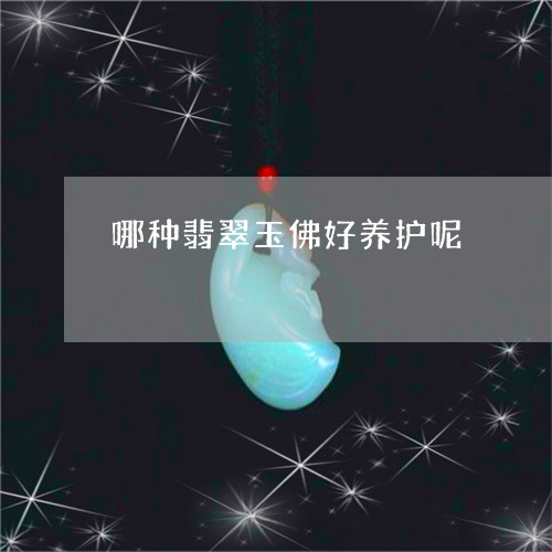 哪种翡翠玉佛好养护呢/2023082444409