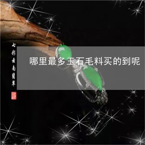 哪里最多玉石毛料买的到呢/2023101780176