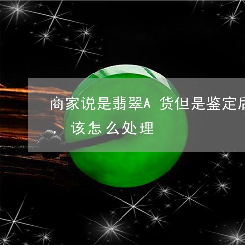 商家说是翡翠A货但是鉴定后不是翡翠A货,该怎么处理/2023080414617