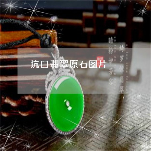 坑口翡翠原石图片/2023090618725