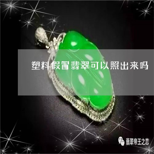 塑料假冒翡翠可以照出来吗/2023092833690